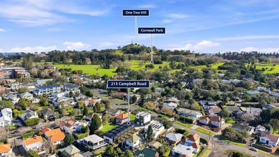 /international/nz/213-campbell-road-greenlane-auckland-380119823578/