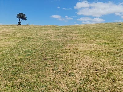 /international/nz/lot-2-pembroke-road-stratford-taranaki-380119837024/