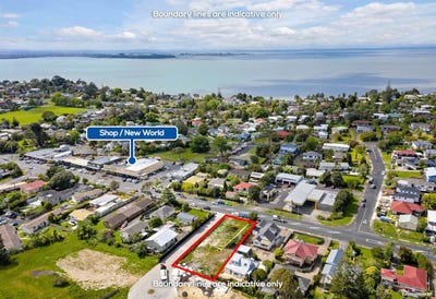 /international/nz/83-godley-road-green-bay-auckland-380119829827/