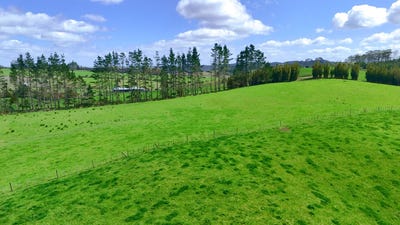 /international/nz/whakapirau-road-wellsford-auckland-380119804992/