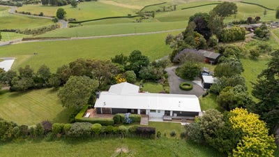 /international/nz/229-norwegian-road-cambridge-waikato-380119865231/