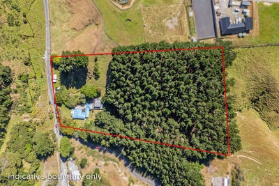 /international/nz/329-takarau-gorge-road-ohariu-wellington-380119816166/
