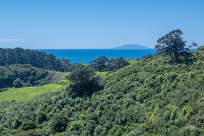 /international/nz/lot-12-30-hill-road-wawata-estate-palm-beach-auckland-380119819423/