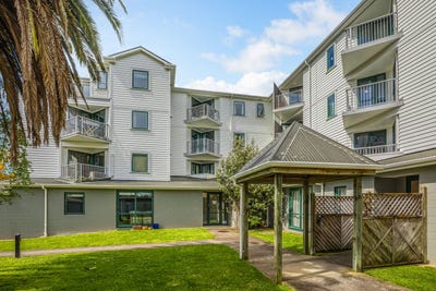/international/nz/c4-13-palm-grove-berhampore-wellington-380120025215/
