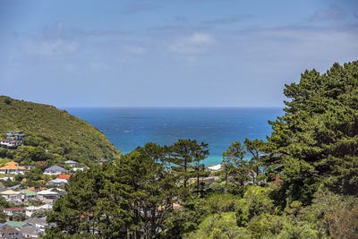 /international/nz/lot-6-75-rhine-street-island-bay-wellington-380119862831/