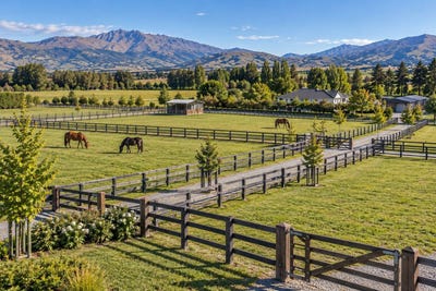 /international/nz/addington-canterbury-380120024727/