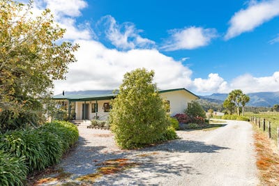 /international/nz/1084-nikau-road-seddonville-west-coast-380119841687/