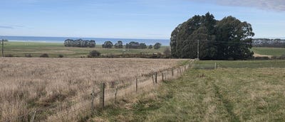 /international/nz/74-frame-road-waianakarua-otago-380119878369/