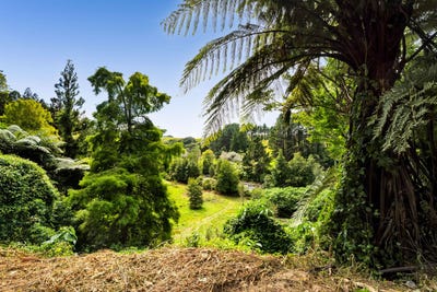 /international/nz/525-mangorei-road-highlands-park-taranaki-380119843170/