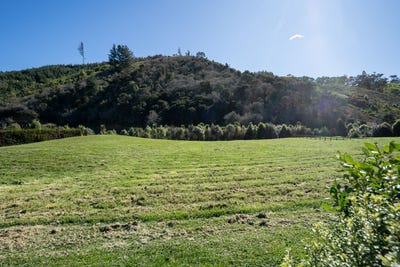 /international/nz/351-scotsman-valley-road-tauwhare-waikato-380119850738/