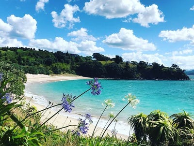 /international/nz/190-pacific-ocean-slipper-island-whakahua-thames-coromandel-380119828264/