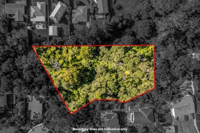 /international/nz/40d-konini-road-titirangi-auckland-380119820645/