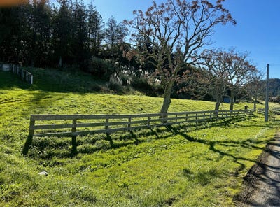 /international/nz/86-riverside-road-whataupoko-gisborne-380119876883/