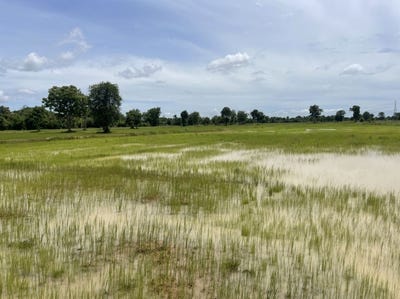 /international/kh/wat-kor-battambang-battambang-360107112628/