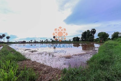 /international/kh/siem-reap-siem-reap-siem-reap-360107112091/