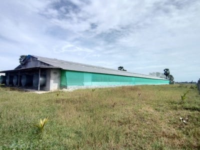/international/kh/moha-ruessei-kong-pisei-kampong-speu-360107111999/