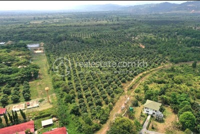 /international/kh/traeng-trayueng-phnum-sruoch-kampong-speu-360107140180/