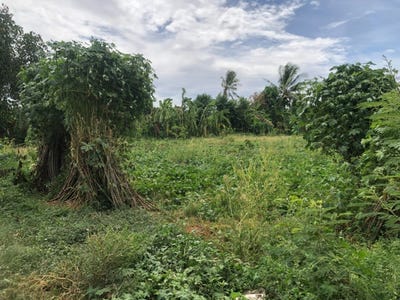 /international/kh/kantueu-pir-banan-battambang-360107114153/