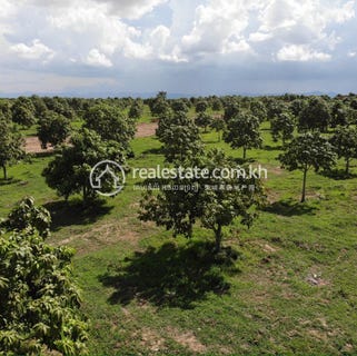 /international/kh/ta-krei-kamrieng-battambang-360107146423/