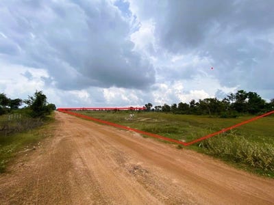 /international/kh/trach-tong-odongk-kampong-speu-360107110493/