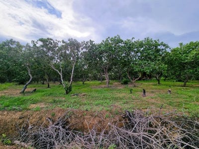 /international/kh/boeung-lvea-santuk-kampong-thom-360107099365/