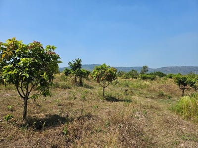 /international/kh/traeng-trayueng-phnum-sruoch-kampong-speu-360107111022/