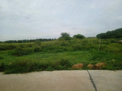 /international/kh/setbou-s-ang-kandal-360107111457/