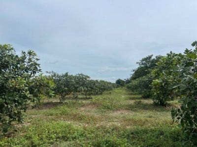 /international/kh/sala-visai-prasat-ballangk-kampong-thom-360107111012/
