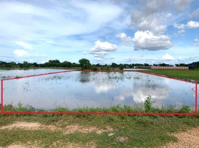 /international/kh/damrei-choan-khla-stueng-saen-kampong-thom-360107111191/