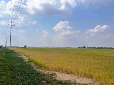 /international/kh/sasar-sdam-puok-siem-reap-360107098828/