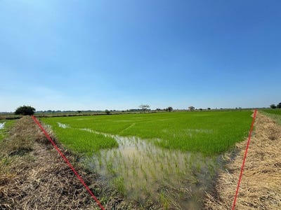 /international/kh/kdol-doun-teav-battambang-battambang-360107112307/