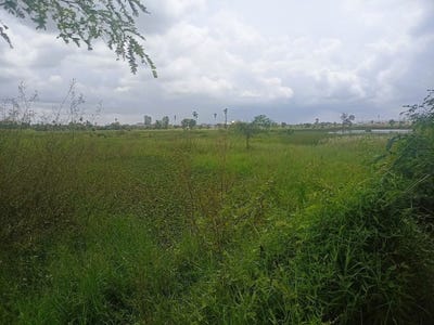 /international/kh/preah-putth-kandal-stueng-kandal-360107111942/
