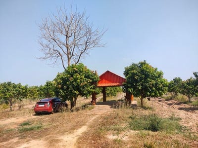 /international/kh/kouk-mon-banteay-ampil-oddar-meanchey-360107113825/