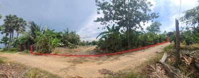 /international/kh/boeung-pring-thma-koul-battambang-360107114566/