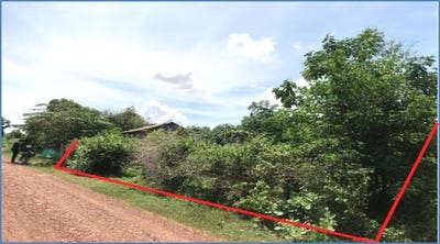 /international/kh/kantueu-pir-banan-battambang-360107097072/
