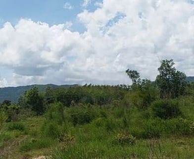 /international/kh/ou-bak-roteh-kampong-seila-sihanoukville-360107114205/