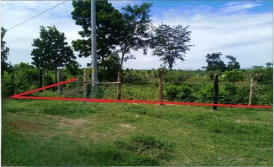 /international/kh/kantueu-pir-banan-battambang-360107115247/