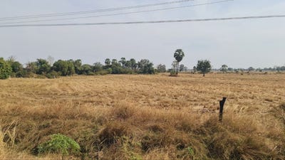 /international/kh/kouk-mon-banteay-ampil-oddar-meanchey-360107113939/