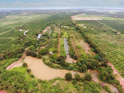 /international/kh/traeng-trayueng-phnum-sruoch-kampong-speu-360107096188/