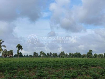 /international/kh/banteay-chhmar-thma-puok-banteay-meanchey-360107099658/
