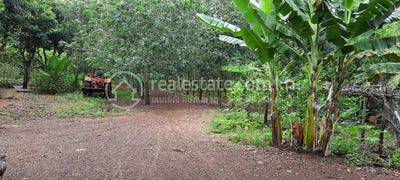 /international/kh/soupheas-stueng-trang-kampong-cham-360107102867/