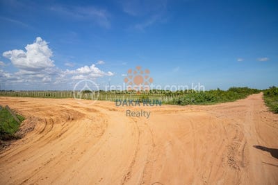 /international/kh/krabei-riel-siem-reap-siem-reap-360107104591/