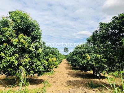 /international/kh/haong-samnam-aoral-kampong-speu-360107135079/
