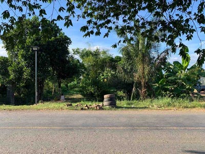 /international/kh/svay-romiet-khsach-kandal-kandal-360107116314/