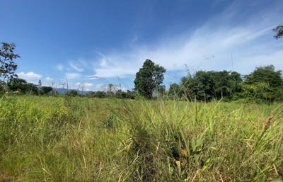 /international/kh/thmei-kuleaen-preah-vihear-360107110842/