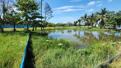 /international/kh/ponhea-lueu-ponhea-lueu-kandal-360107113708/