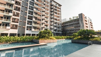/international/kh/chaom-chau-1-por-sen-chey-phnom-penh-360107099147/