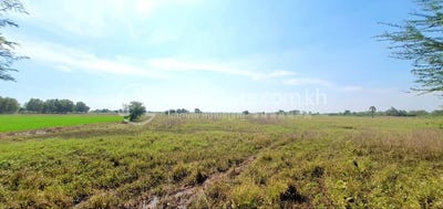 /international/kh/banteay-daek-kien-svay-kandal-360107116064/