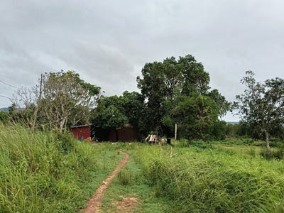 /international/kh/ou-oknha-heng-prey-nob-sihanoukville-360107110524/?lang=de