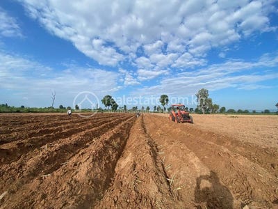/international/kh/banteay-chhmar-thma-puok-banteay-meanchey-360107110246/